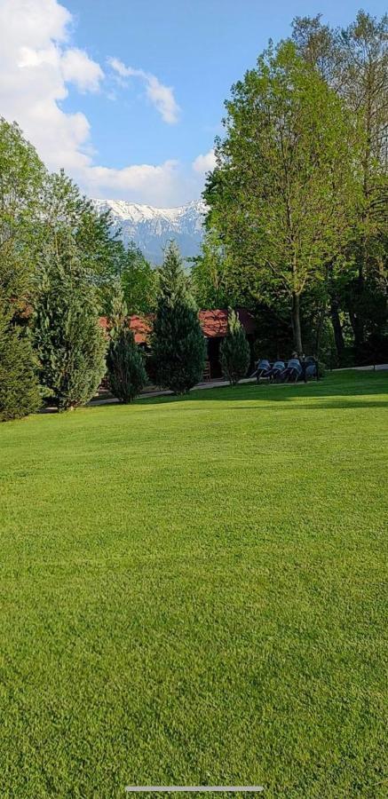 Garden Retreat (Adults Only) Hotel Törcsvár Kültér fotó